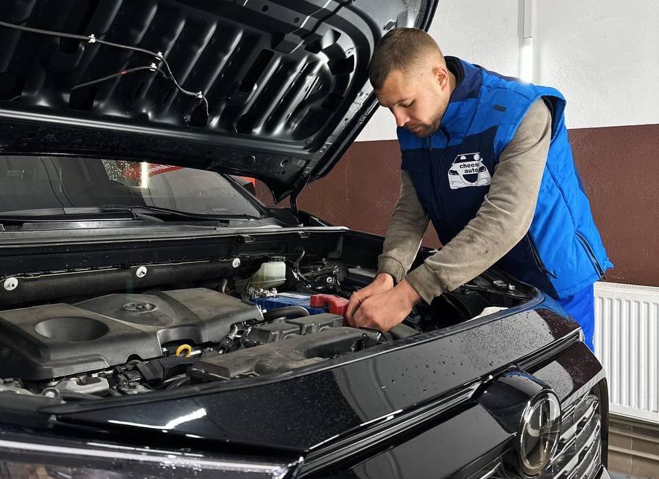 Service man with a car